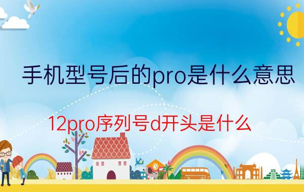 手机型号后的pro是什么意思 12pro序列号d开头是什么？